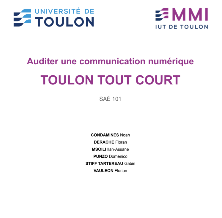 Audit festival Toulon Tout Court